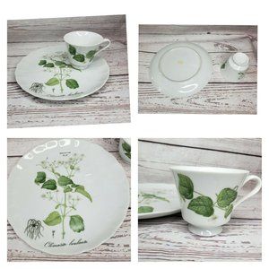 Vintage Hocquart Del Et Sculp Pl 95 Clematite Brulante Tea Cup And Plate Set